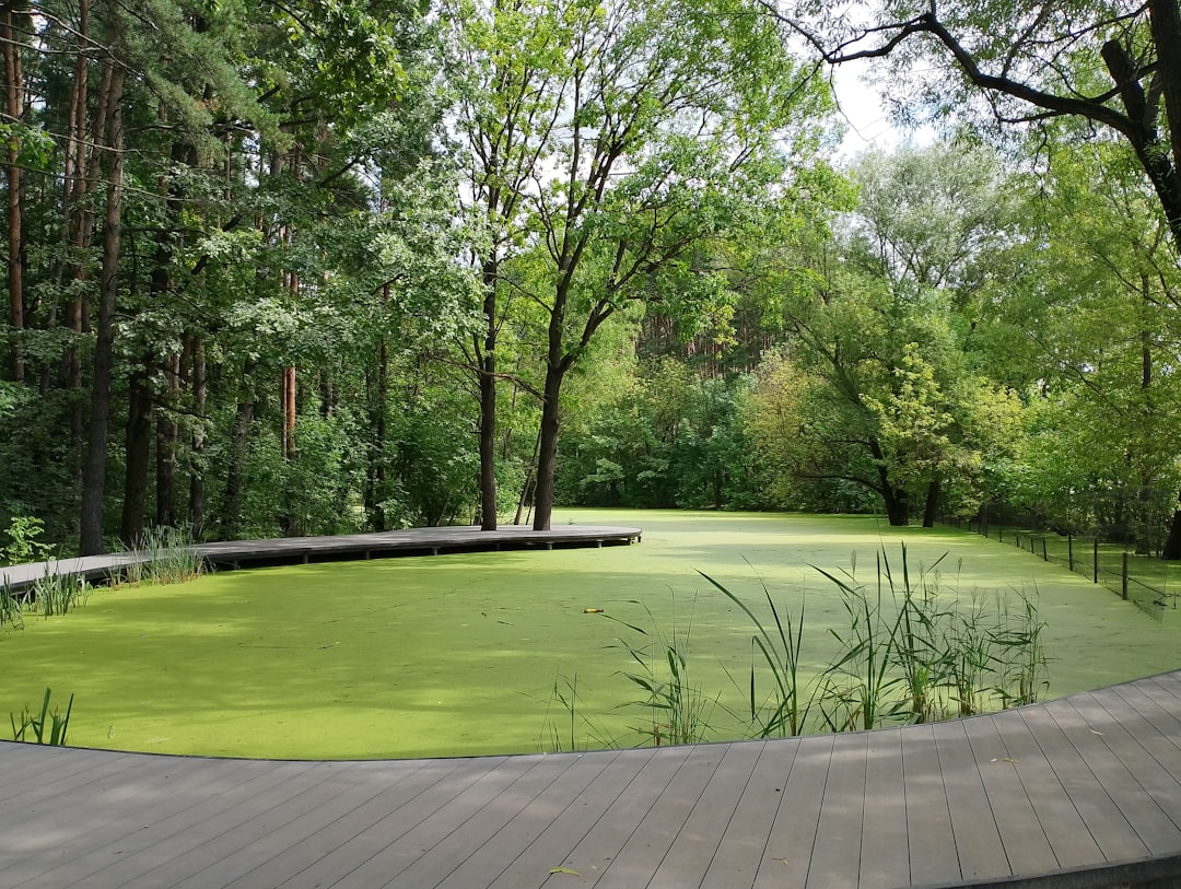 Hormigón impreso piscinas comunitarias con acabado decorativo y duradero en Barcelona