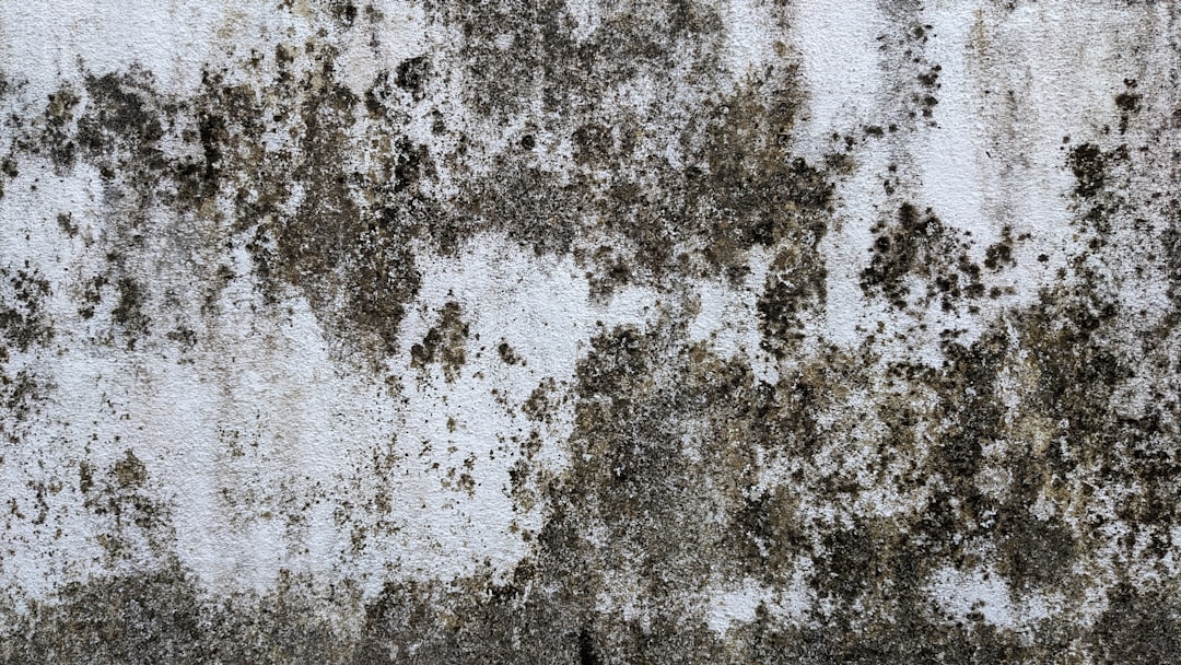 Ejemplo de hormigón impreso en Igualada mostrando textura y diseño decorativo